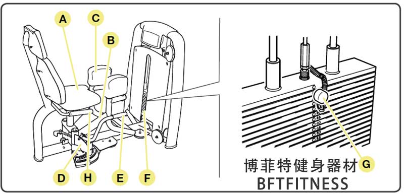大腿外展外侧肌抖奶黄色短视频APP